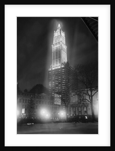 The Woolworth Building by Anonymous