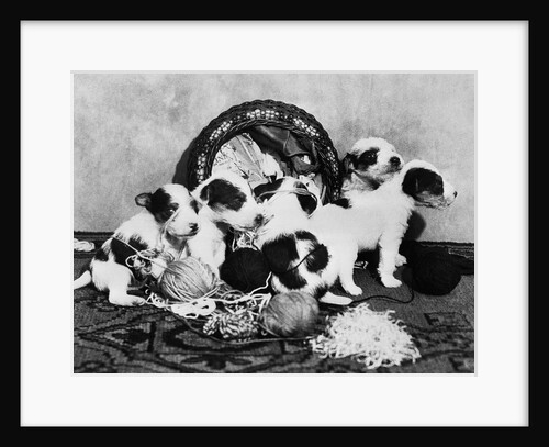 Puppies Overturning Knitting Basket by Anonymous