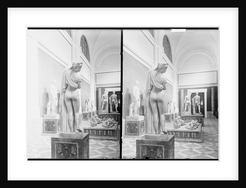 Aphrodite Callipygos and Other Statues in the Museo Archeologico Nazionale in Naples, Italy by Anonymous