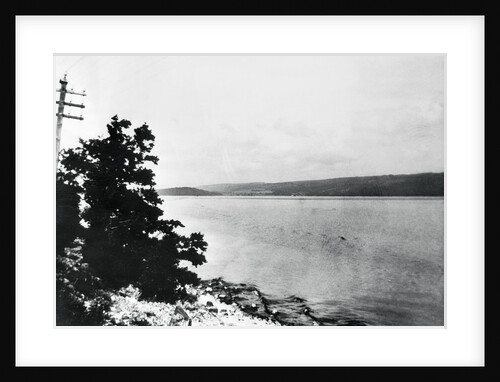 Alleged Image of Loch Ness Monster by Anonymous