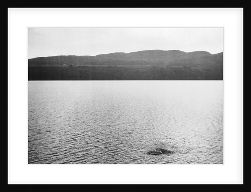 Supposed Sighting of the Loch Ness Monster by Anonymous