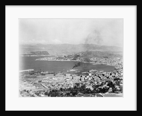 Harbor at Wellington of New Zealand by Anonymous
