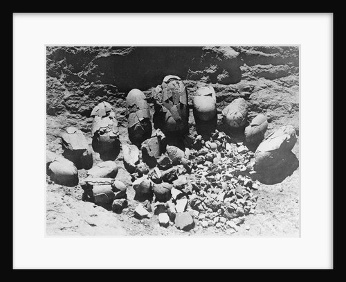 Ancient Dinosaur Egg Nest Discovery by Anonymous