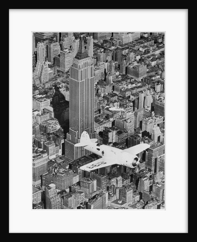 Hawks Airplane in Flight over New York City by Anonymous