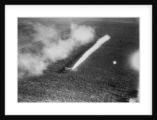 Plane Crop-Dusting a Field by Anonymous