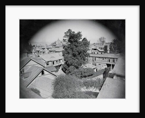 Winchester Mystery House by Anonymous