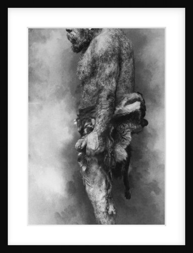 Neanderthal Man Exhibit by Anonymous