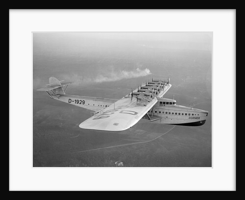 The DOX in Flight by Anonymous