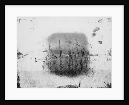 Birds Sitting on Reeds Along Shore by Anonymous