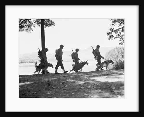 Soldiers and Their Dogs Walking Along the Shore by Anonymous
