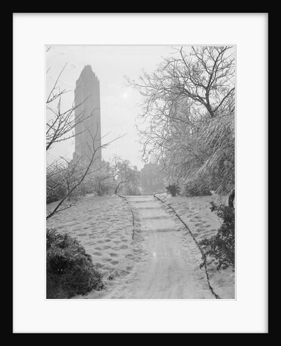 Central Park Views by Anonymous
