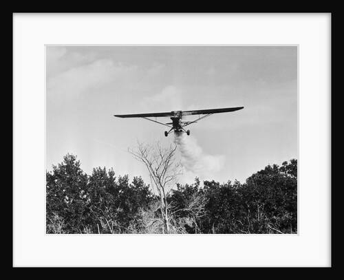 Airplane Dusting Insecticide Over Trees by Anonymous