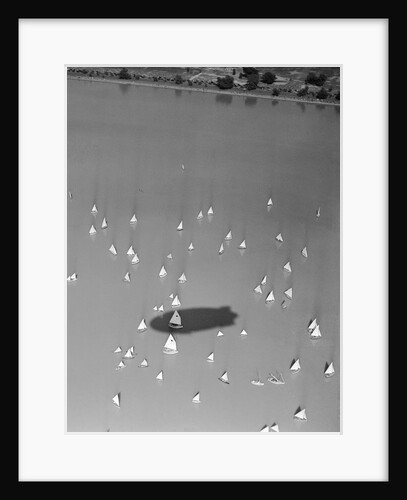 Blimp Shadow Over Regatta by Anonymous