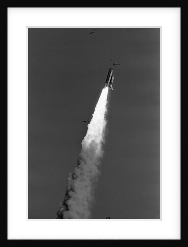 Challenger Space Shuttle Lifting Off by Anonymous