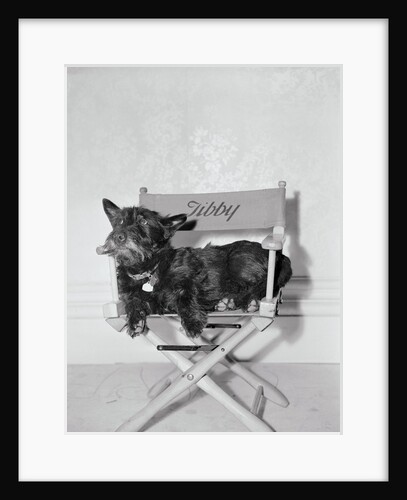 Bette Davis's Dog Tibby by Anonymous