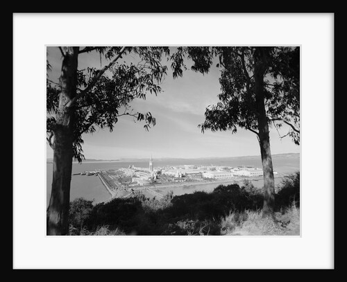 Distant View of San Francisco Through Tree Line by Anonymous