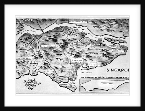 Illustration of Singapore and Surrounding Landscapes by Anonymous