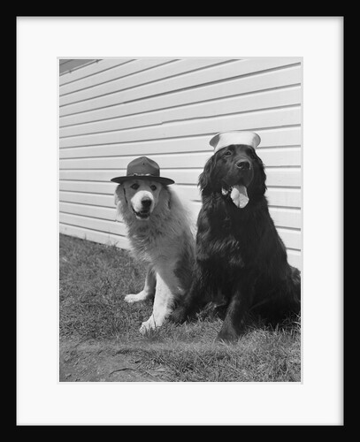 Army Dogs Sitting by Anonymous