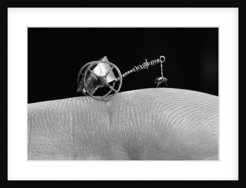 Flea Pulling Miniature Merry Go Round by Anonymous
