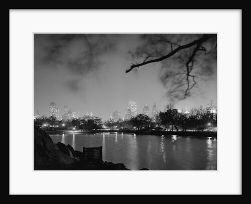 View in Central Park by Anonymous