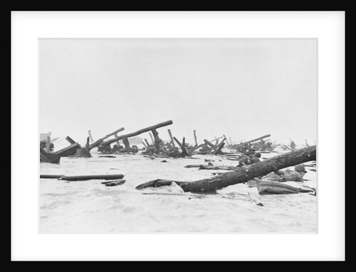 Invaders on Omaha Beach by Anonymous