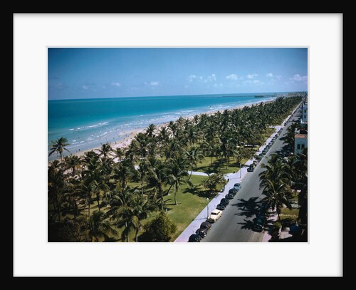 Cars Driving Near Beach Site by Anonymous