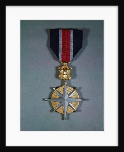 Merchant Marine Distinguished Service by Anonymous