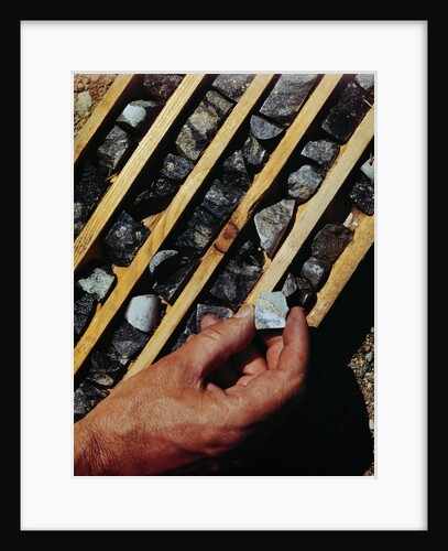 Container of Mineral Deposits Being Examined by Anonymous