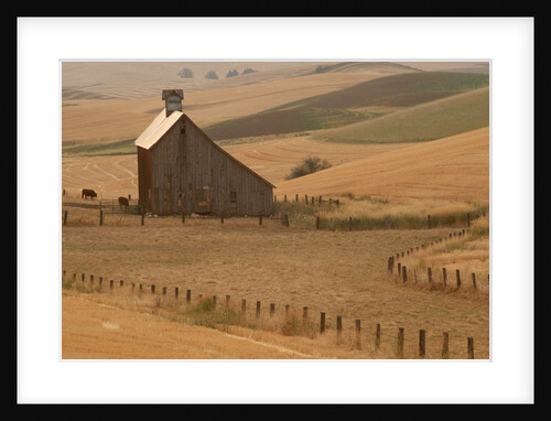Barn and Wheat Fields by Anonymous