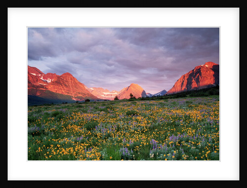 Glacier National Park by Anonymous