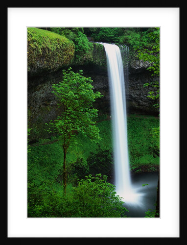 South Silver Falls by Anonymous
