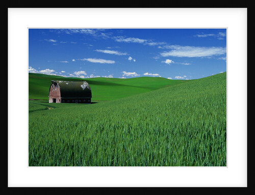 Red Barn in a Wheat Field by Anonymous