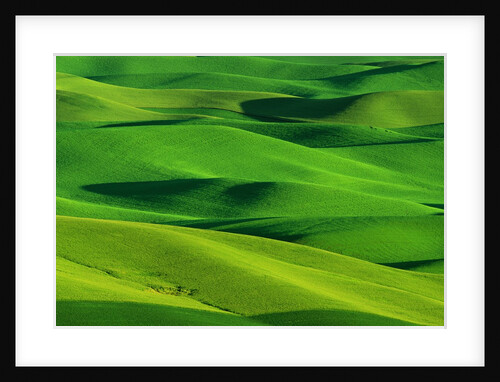 Palouse Hills by Anonymous