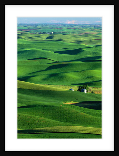 Palouse Hills by Anonymous