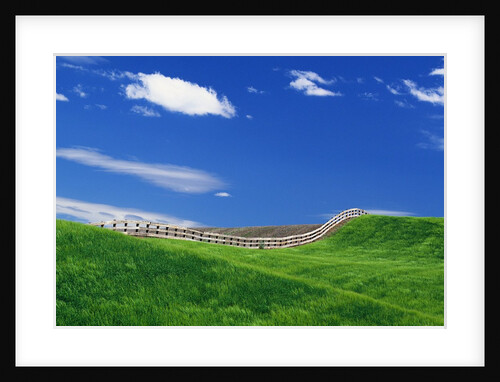 Wheat Field and Fence by Anonymous