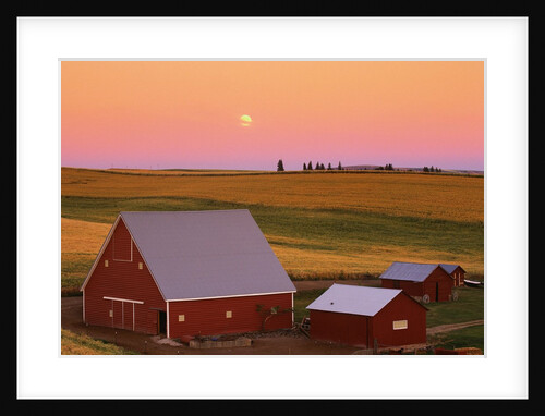 Sun Setting Behind Barns by Anonymous