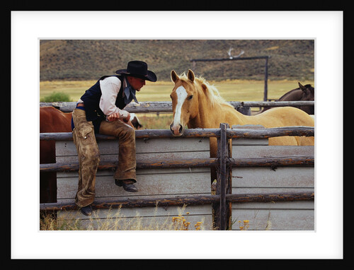 Cowboy and Horses by Anonymous