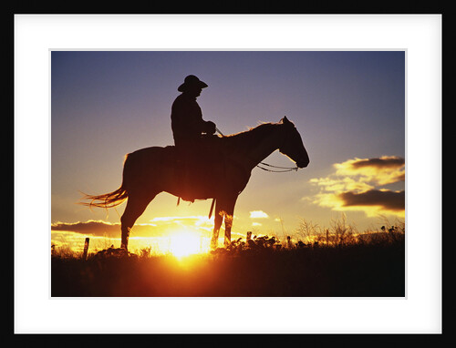 Cowboy Silhouetted at Sunset by Anonymous