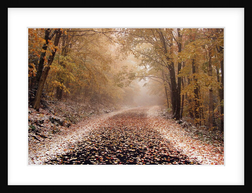 Fresh Snow on a Rural Road by Anonymous
