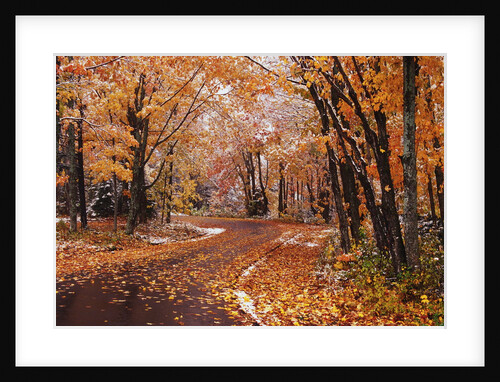 Fresh Snow on a Rural Road by Anonymous