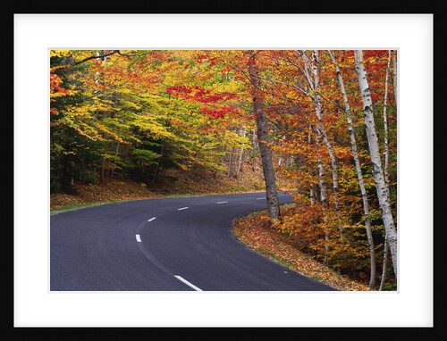 New England Road in Autumn by Anonymous