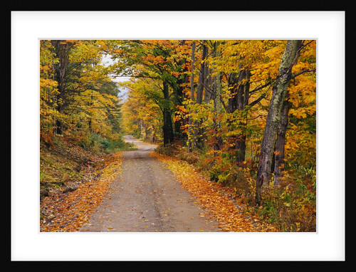 New England Road in Autumn by Anonymous
