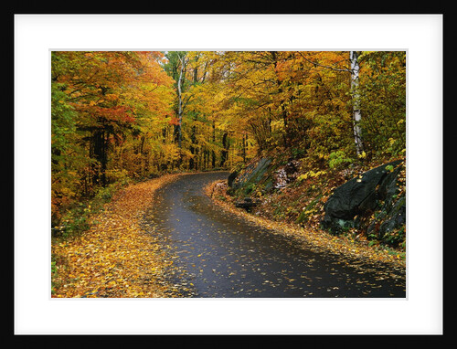 New England Road in Autumn by Anonymous