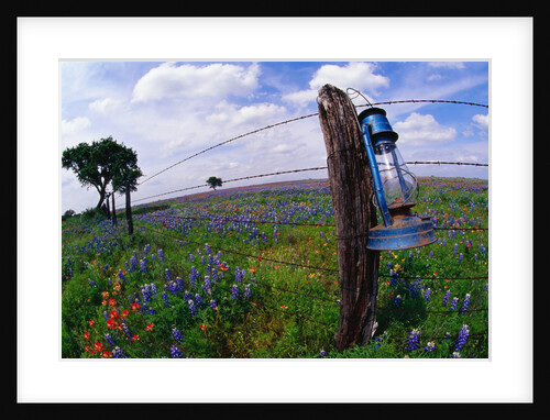 Lantern Hanging on Old Fence Post by Anonymous