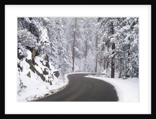 Winter Road in Yosemite National Park by Anonymous