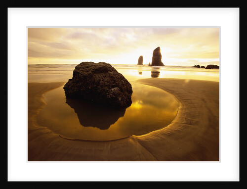 Tide Pool at Cannon Beach by Anonymous