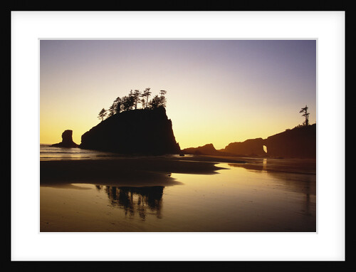 Second Beach in Olympic National Park by Anonymous