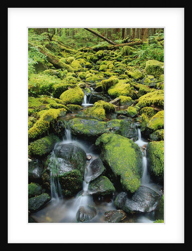 Stream Flowing Through Moss Covered Rocks by Anonymous