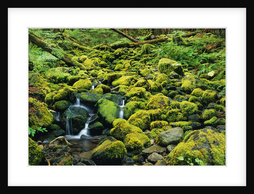 Stream Flowing Through Moss Covered Rocks by Anonymous