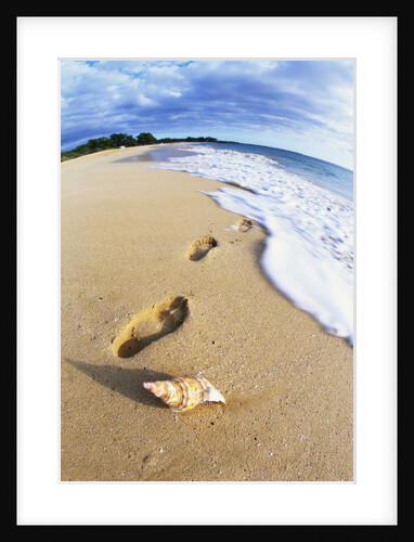 Footprints on Makena Beach by Anonymous